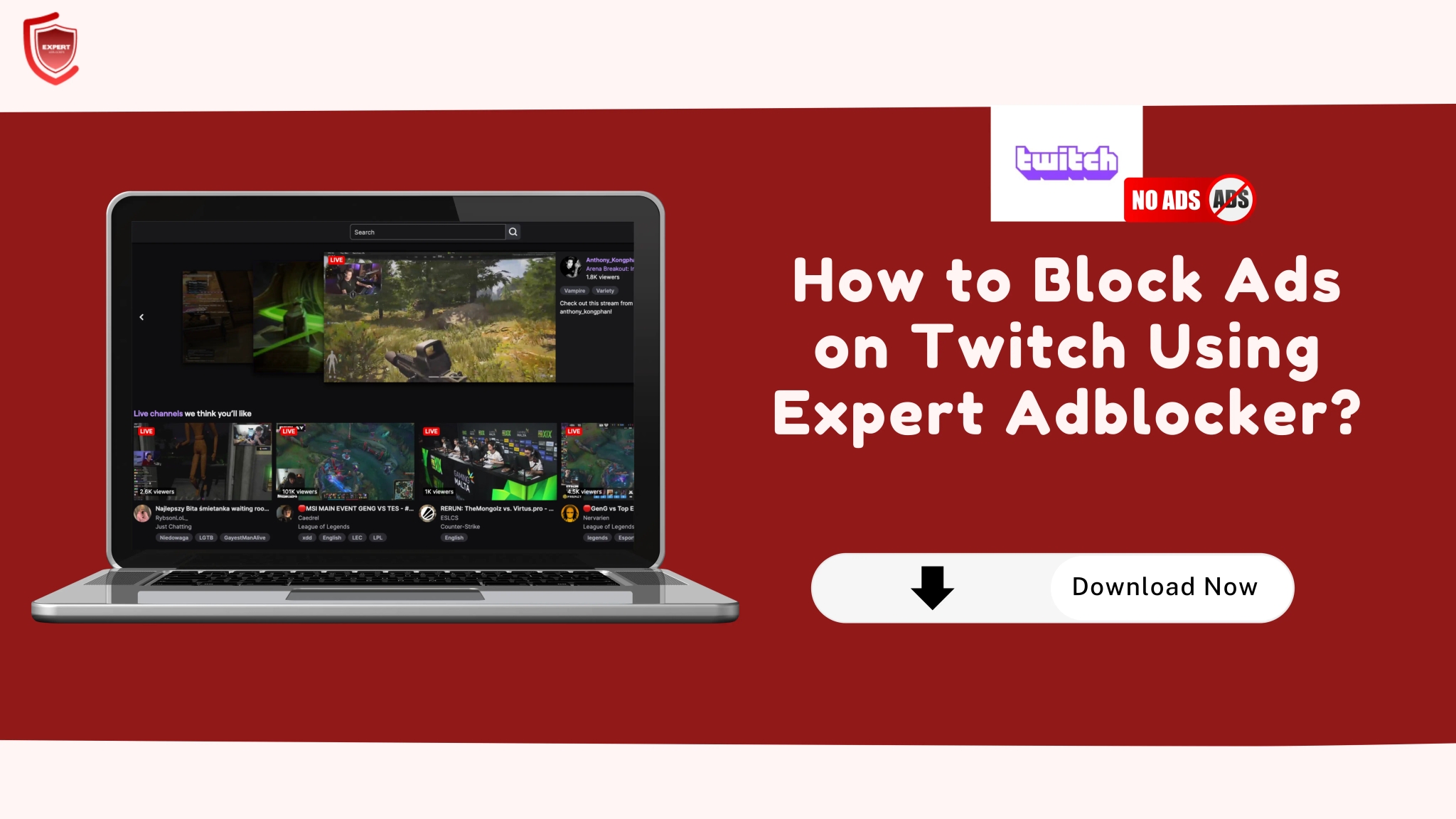 Block Ads on Twitch